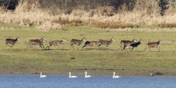 Week-end nature et sport au cœur des Grands Lacs de l'Aube